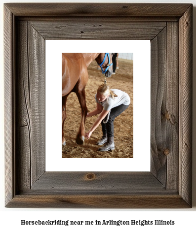 horseback riding near me in Arlington Heights, Illinois